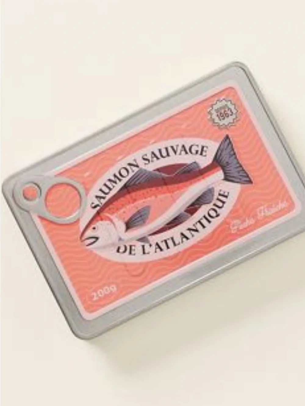 Anthropologie Coral Salmon Tin Notebook